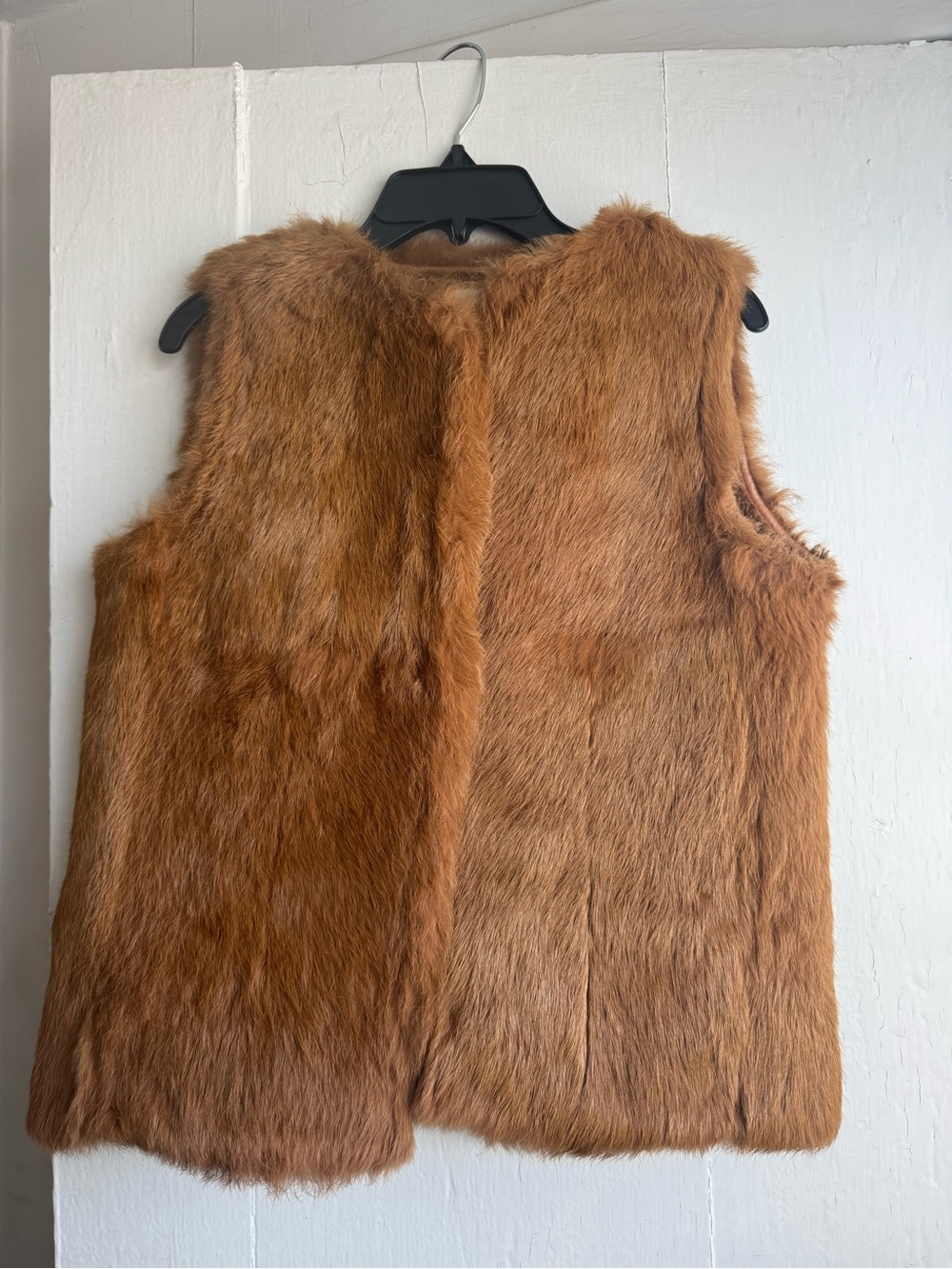Balenciaga Fur and Shearling Vest in Chestnut